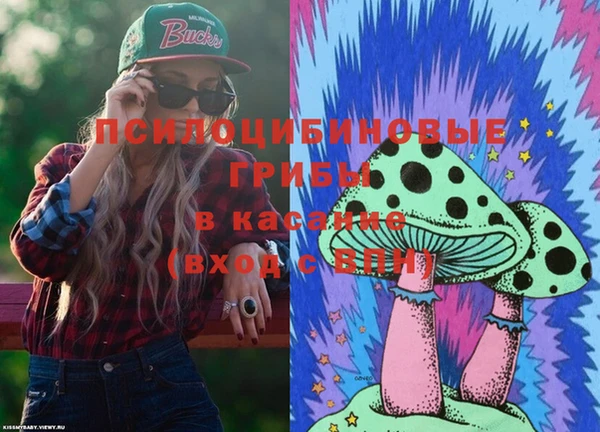тгк Тайга